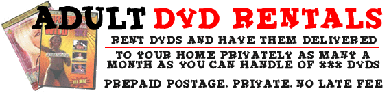 does netflix rent adult dvds questions about netflix renting porn ...
